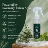 Rosemary Water