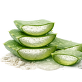Aloevera