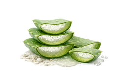 Aloevera