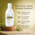 Bhringraj Shampoo
