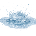 Purified Water