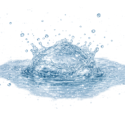 Purified Water