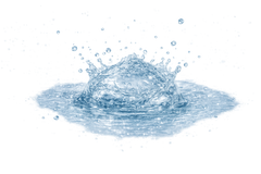 Purified Water