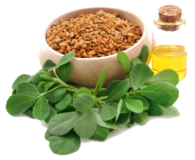 Fenugreek & Curry leaves